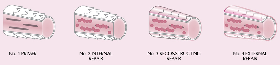 No. 1 PRIMER | No. 2 INTERNAL REPAIR | No. 3 RECONSTRUCTING REPAIR | No. 4 EXTERNAL REPAIR