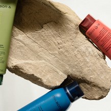 Introducing the Monochromatic Collection